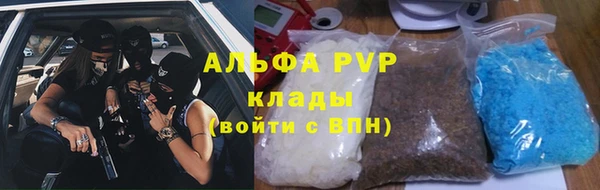 ПСИЛОЦИБИНОВЫЕ ГРИБЫ Горнозаводск