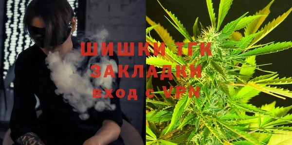прущие крисы Каменногорск